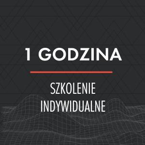 1 godzina zajęć indywidualnych