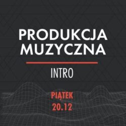 PMIPT201224